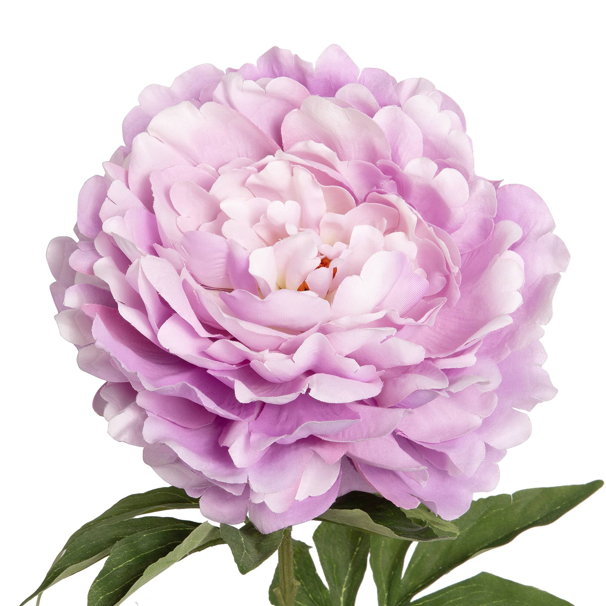 28.5" Violet Peony Stem by Ashland®